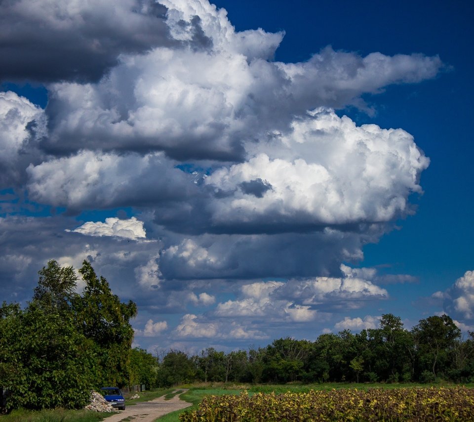 Обои небо, облака, деревья, природа, the sky, clouds, trees, nature разрешение 2140x1427 Загрузить