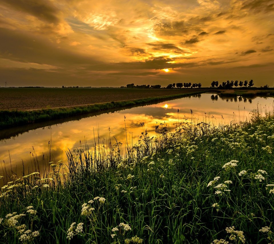 Обои небо, горизонт, цветы, облака, река, природа, растения, пейзаж, поле, the sky, horizon, flowers, clouds, river, nature, plants, landscape, field разрешение 2048x1152 Загрузить