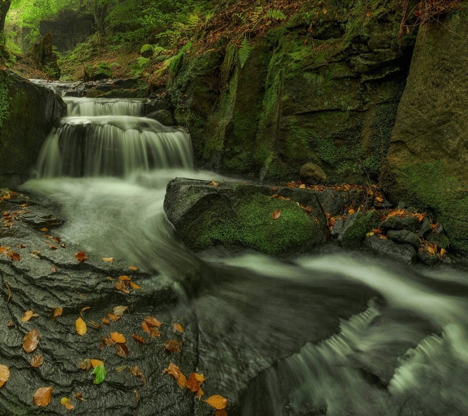 Обои скалы, камни, листья, ручей, водопад, осень, мох, каскад, rocks, stones, leaves, stream, waterfall, autumn, moss, cascade разрешение 2048x1273 Загрузить