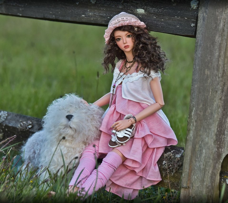 Обои трава, забор, собака, кукла, волосы, лицо, игрушки, шляпка, grass, the fence, dog, doll, hair, face, toys, hat разрешение 2000x1334 Загрузить
