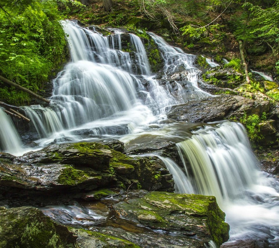 Обои вода, камни, лес, водопад, поток, water, stones, forest, waterfall, stream разрешение 3600x2400 Загрузить