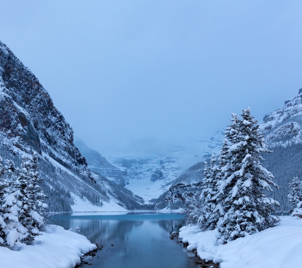 Обои деревья, lake louisebanff, озеро, горы, снег, лес, зима, канада, национальный парк, trees, lake, mountains, snow, forest, winter, canada, national park разрешение 1920x1200 Загрузить