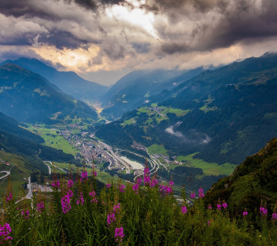 Обои цветы, горы, зелень, высота, долина, перевал, flowers, mountains, greens, height, valley, pass разрешение 1920x1200 Загрузить