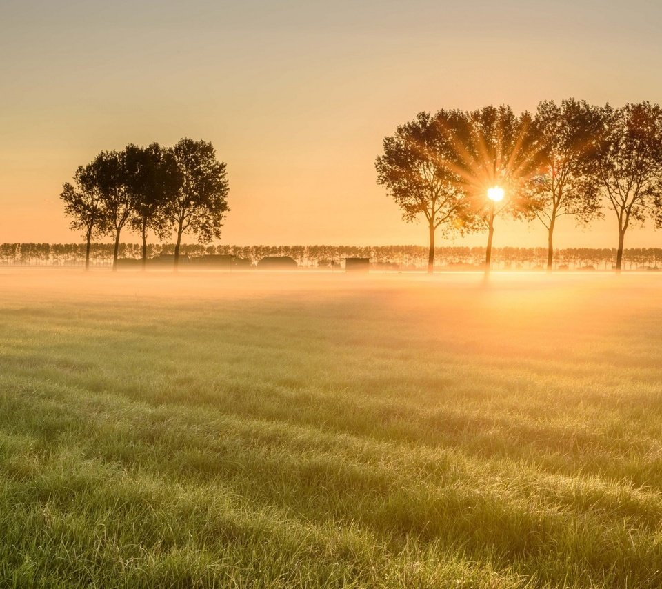 Обои пейзаж, утро, туман, поле, рассвет, landscape, morning, fog, field, dawn разрешение 1920x1200 Загрузить