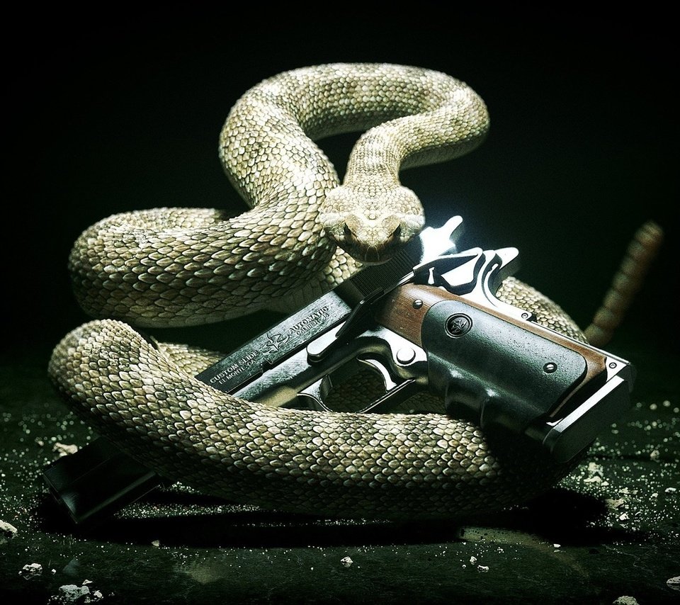 Обои фон, пистолет, змея, заставка, background, gun, snake, saver разрешение 1920x1080 Загрузить