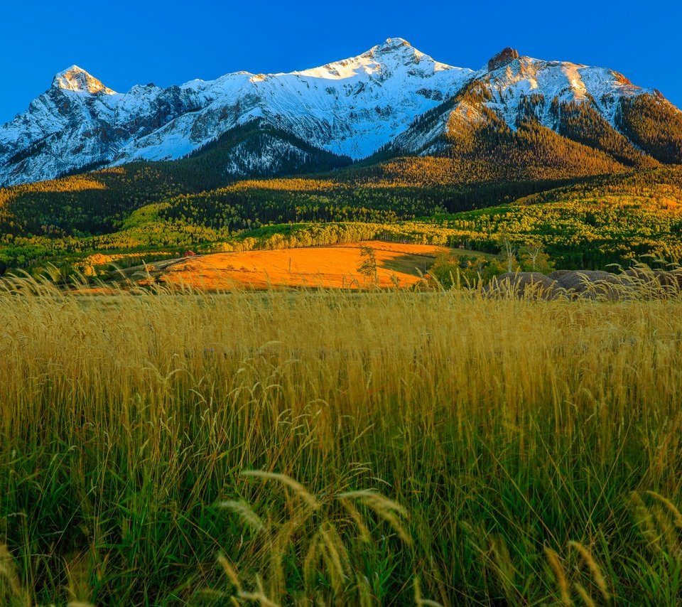 Обои трава, горы, осень, сша, колорадо, аспен, grass, mountains, autumn, usa, colorado, aspen разрешение 1920x1225 Загрузить