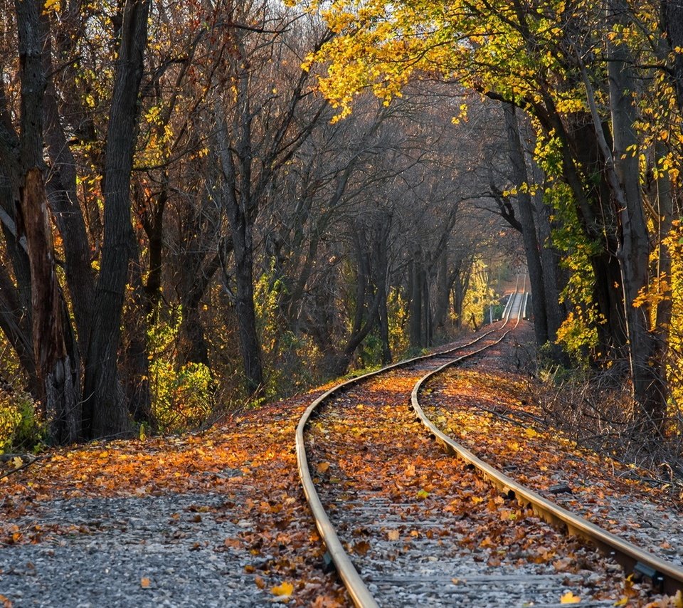 Обои деревья, железная дорога, рельсы, природа, лес, листья, парк, осень, trees, railroad, rails, nature, forest, leaves, park, autumn разрешение 1920x1080 Загрузить