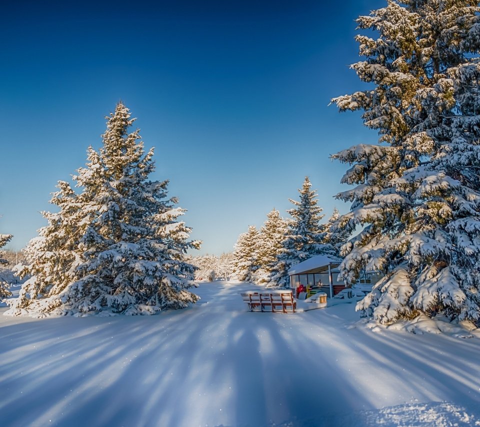 Обои природа, лес, зима, nature, forest, winter разрешение 2880x1800 Загрузить