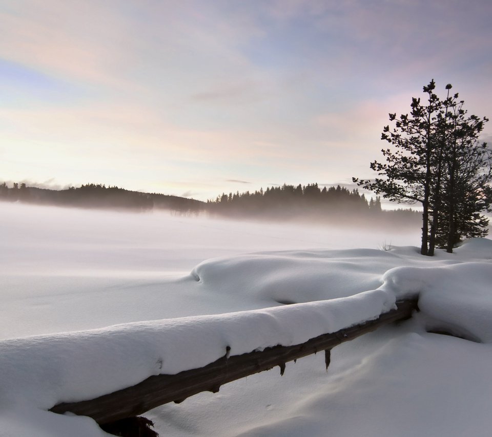 Обои снег, природа, зима, пейзаж, забор, strahil dimitrov, snow, nature, winter, landscape, the fence разрешение 3840x2400 Загрузить