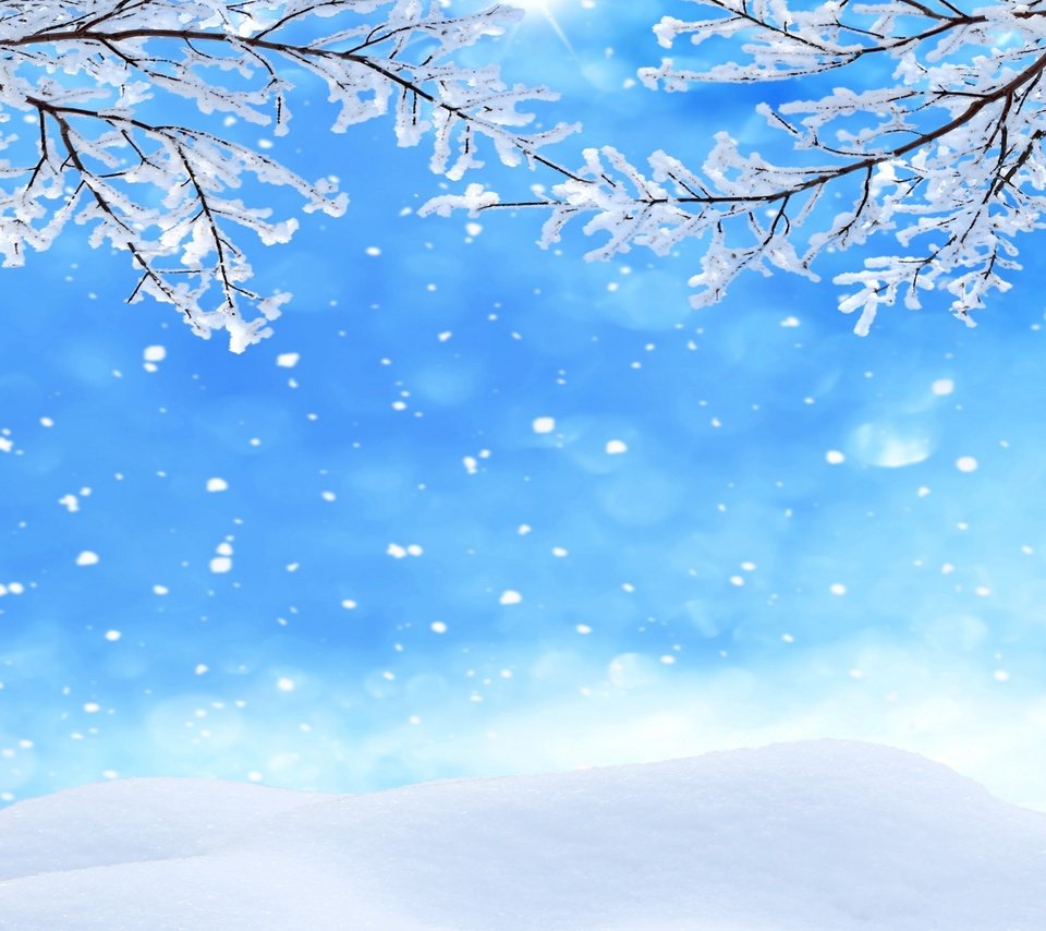 Обои снег, зима, макро, ветки, snow, winter, macro, branches разрешение 2880x1800 Загрузить