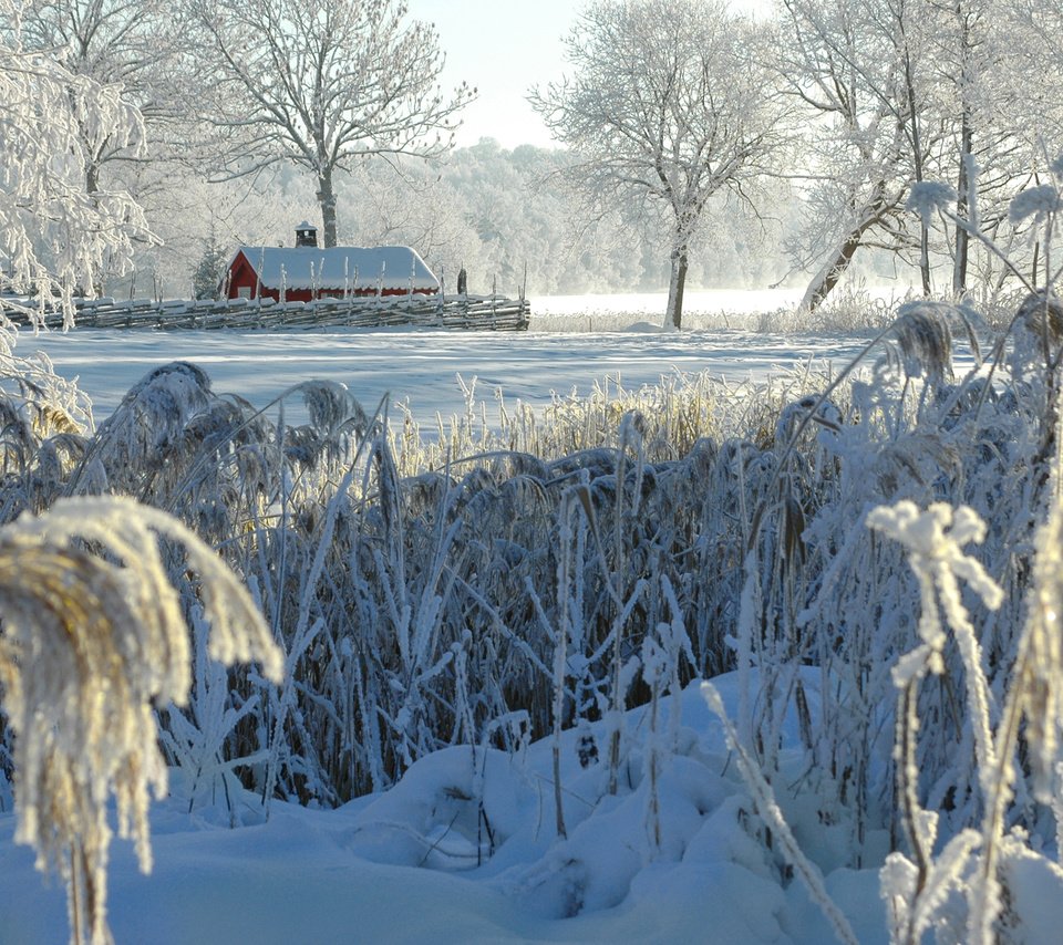 Обои деревья, снег, природа, зима, кусты, иней, деревня, домик, trees, snow, nature, winter, the bushes, frost, village, house разрешение 2880x1800 Загрузить