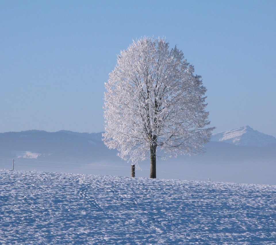 Обои горы, снег, дерево, зима, горизонт, холодно, mountains, snow, tree, winter, horizon, cold разрешение 3840x2400 Загрузить