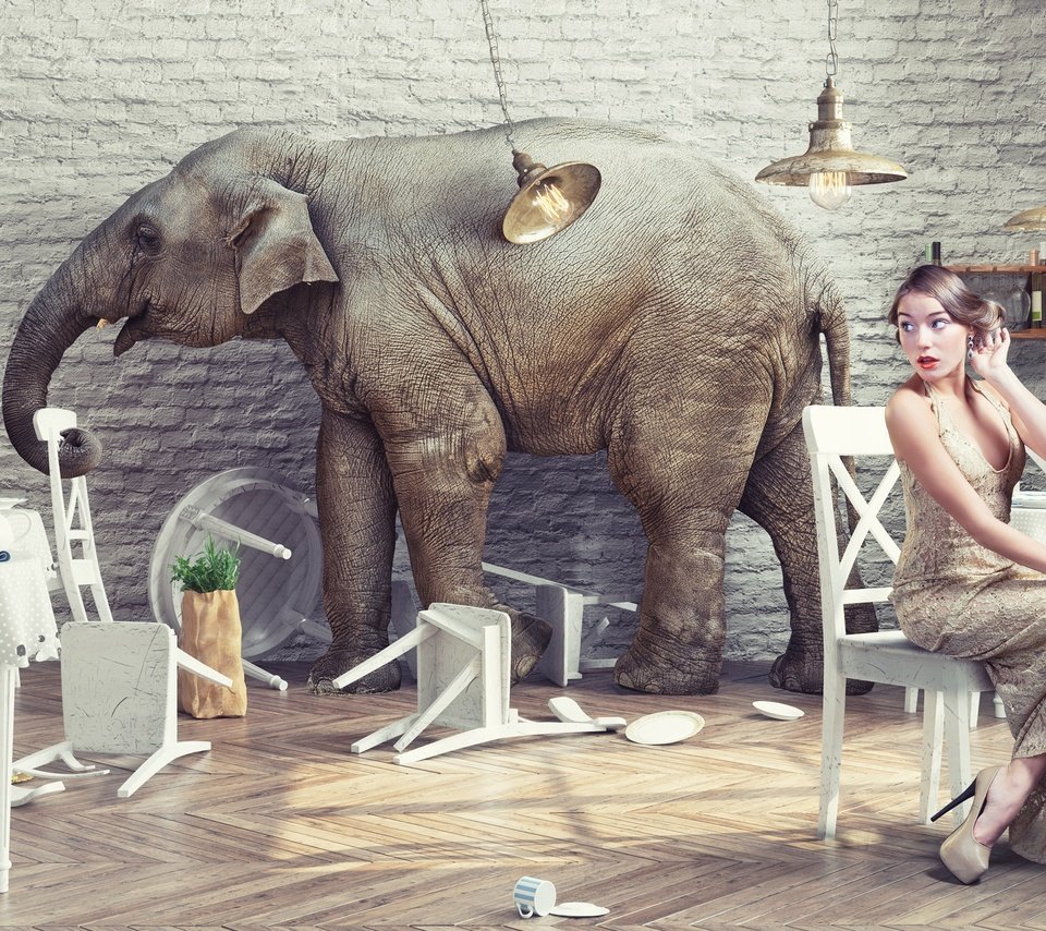 Обои девушка, слон, креатив, ресторан, girl, elephant, creative, restaurant разрешение 2880x1800 Загрузить