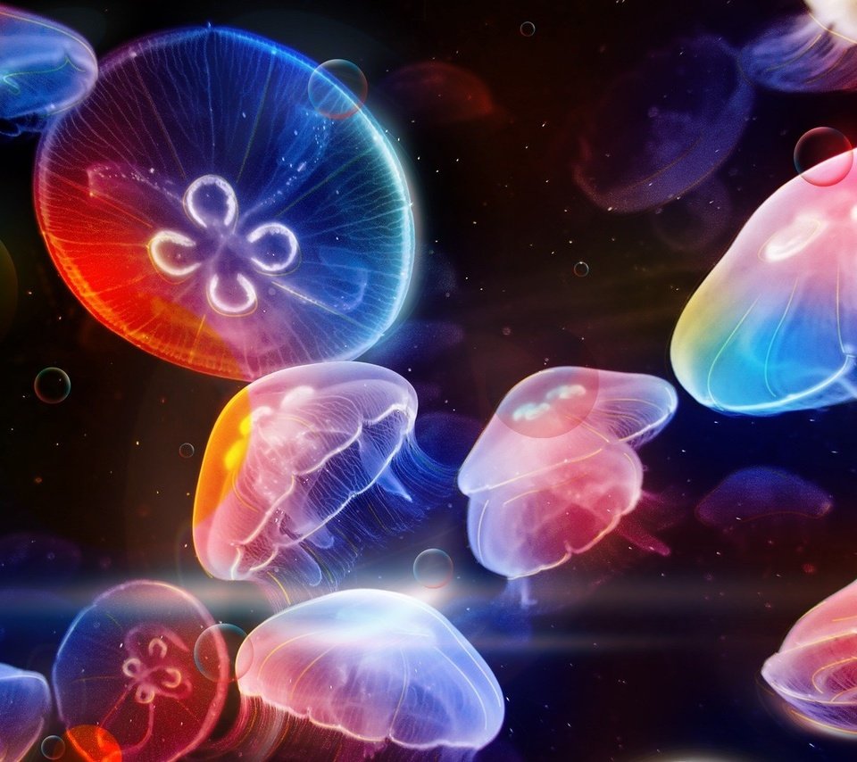 Обои арт, медуза, медузы, подводный мир, art, medusa, jellyfish, underwater world разрешение 1920x1080 Загрузить