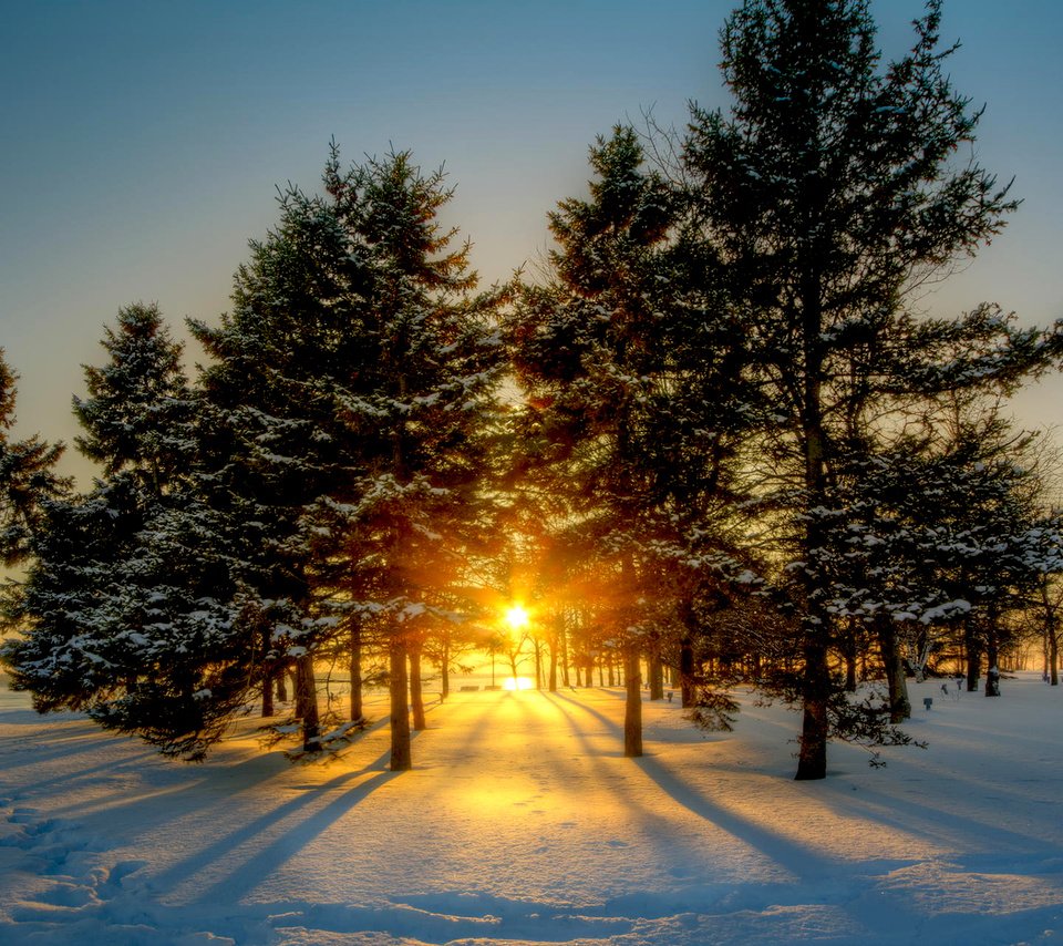 Обои солнце, снег, природа, лес, зима, рассвет, канада, viktor elizarov, the sun, snow, nature, forest, winter, dawn, canada разрешение 1920x1200 Загрузить