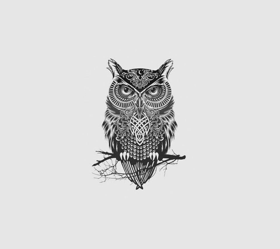 Обои арт, сова, минимализм, птица, art, owl, minimalism, bird разрешение 1920x1080 Загрузить