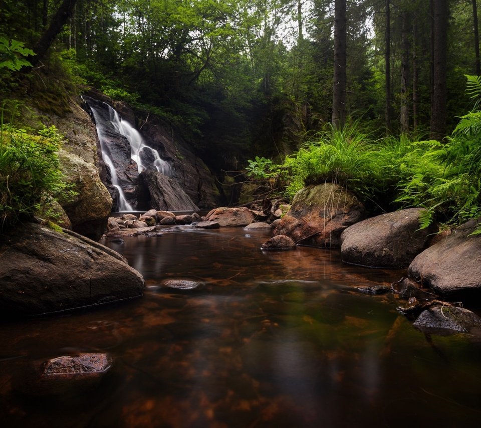 Обои деревья, озеро, камни, лес, ручей, водопад, речка, trees, lake, stones, forest, stream, waterfall, river разрешение 1920x1200 Загрузить