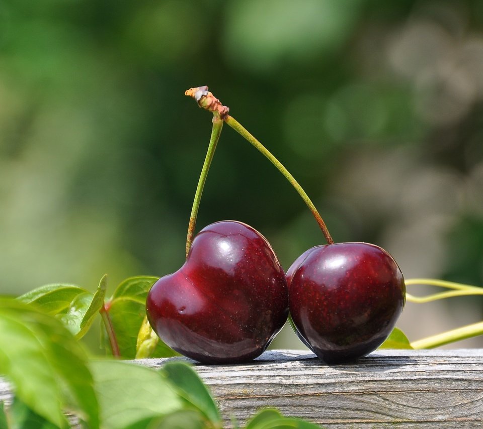 Обои листья, черешня, ягоды, вишня, leaves, cherry, berries разрешение 3216x2136 Загрузить