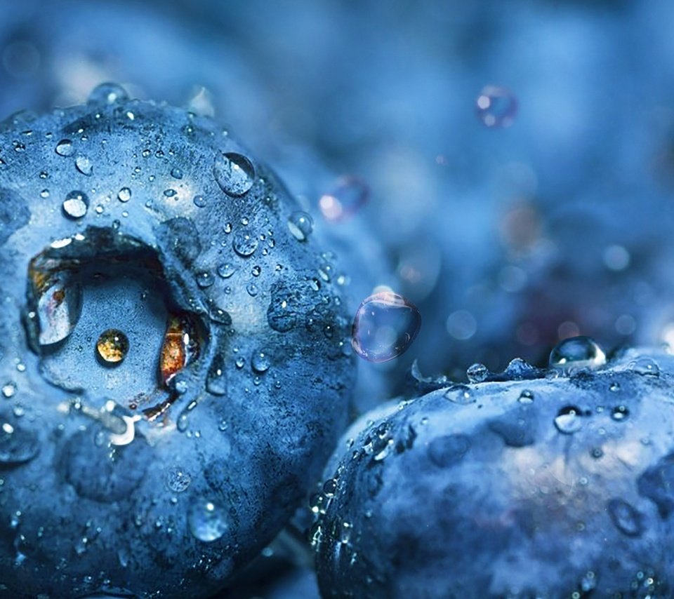 Обои вода, макро, капли, ягоды, черника, dashakern, water, macro, drops, berries, blueberries разрешение 4800x3020 Загрузить