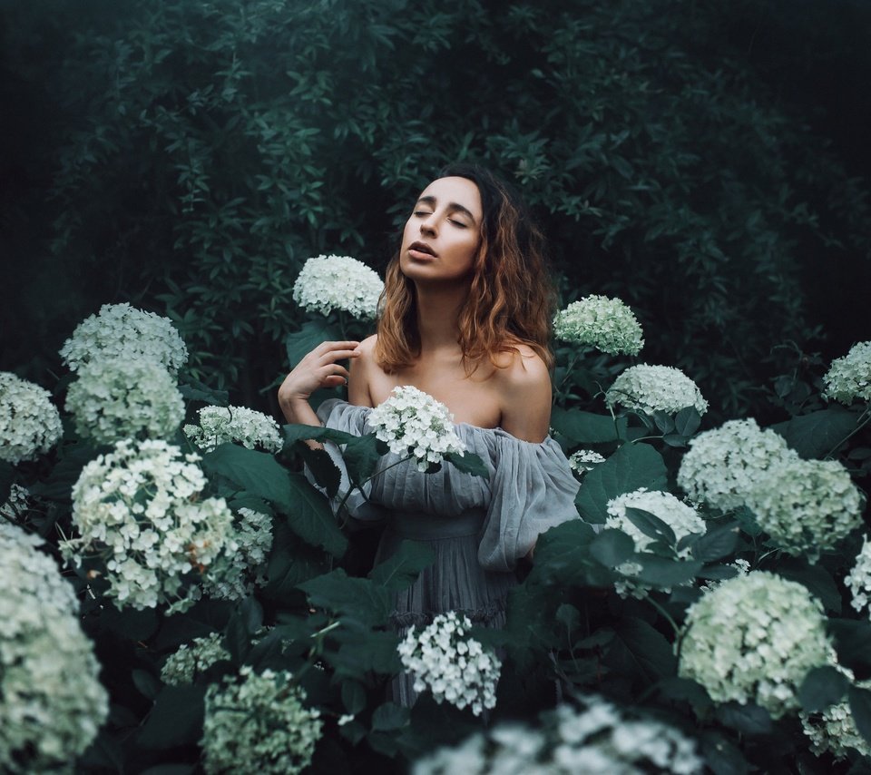 Обои цветы, девушка, настроение, гортензия, amy spanos, flowers, girl, mood, hydrangea разрешение 2048x1365 Загрузить