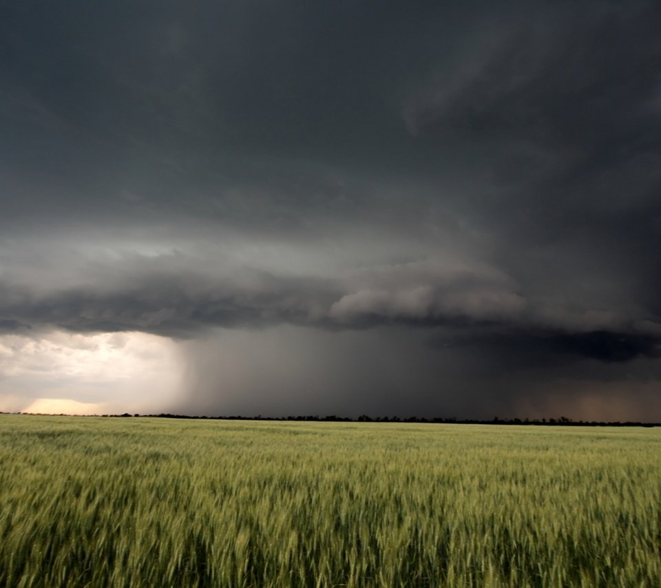 Обои природа, пейзаж, поле, лето, гроза, туча, nature, landscape, field, summer, the storm, cloud разрешение 1920x1080 Загрузить