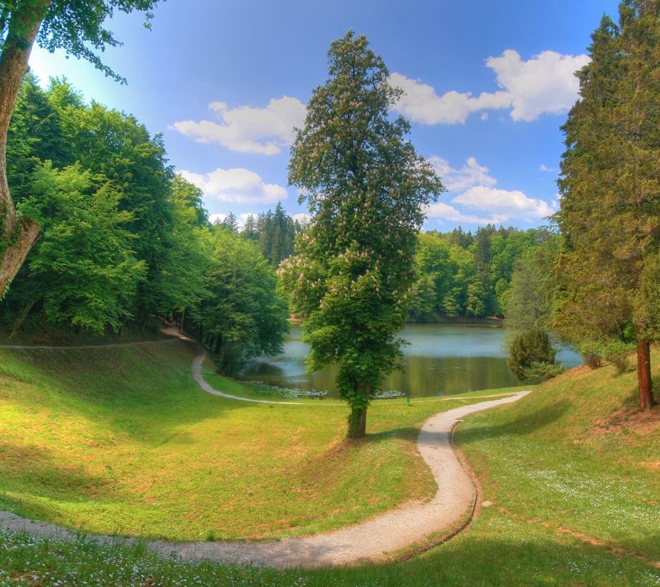 Обои облака, деревья, озеро, тропинка, пруд, clouds, trees, lake, path, pond разрешение 1920x1080 Загрузить