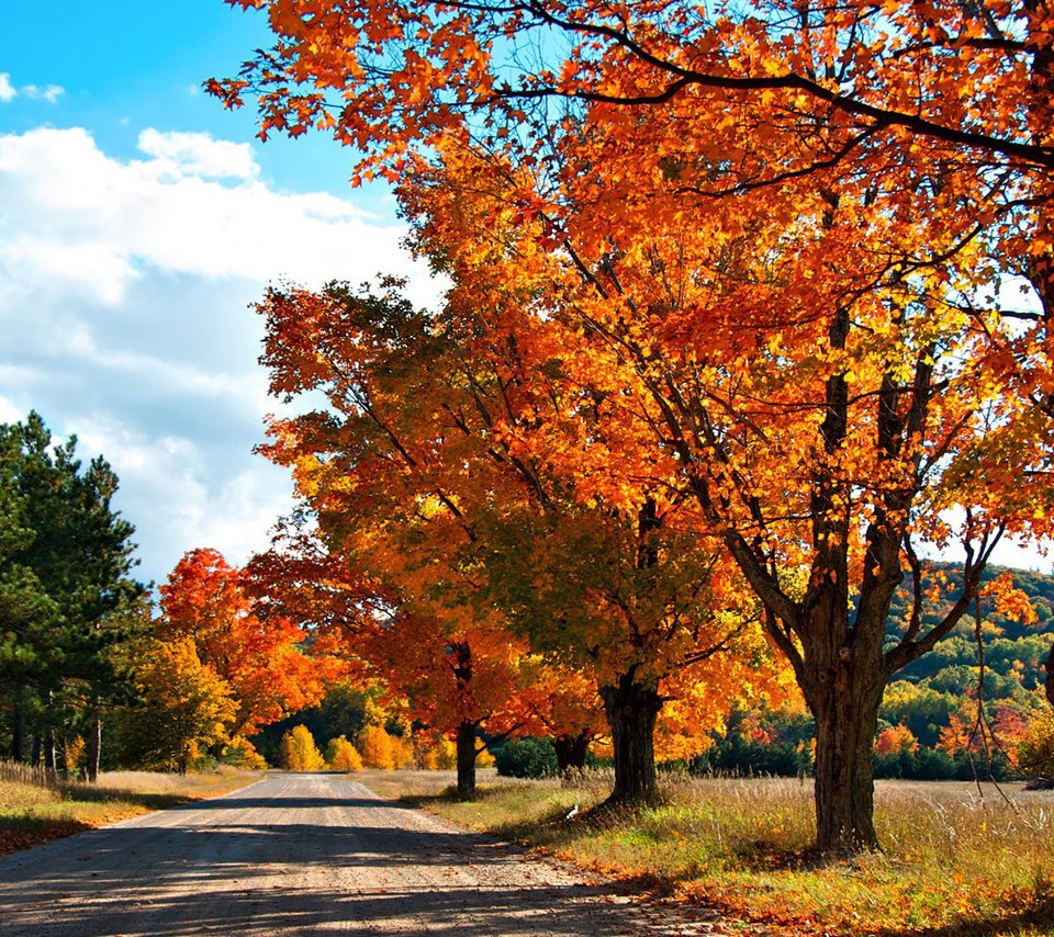 Обои небо, дорога, облака, деревья, природа, лес, осень, the sky, road, clouds, trees, nature, forest, autumn разрешение 1920x1080 Загрузить