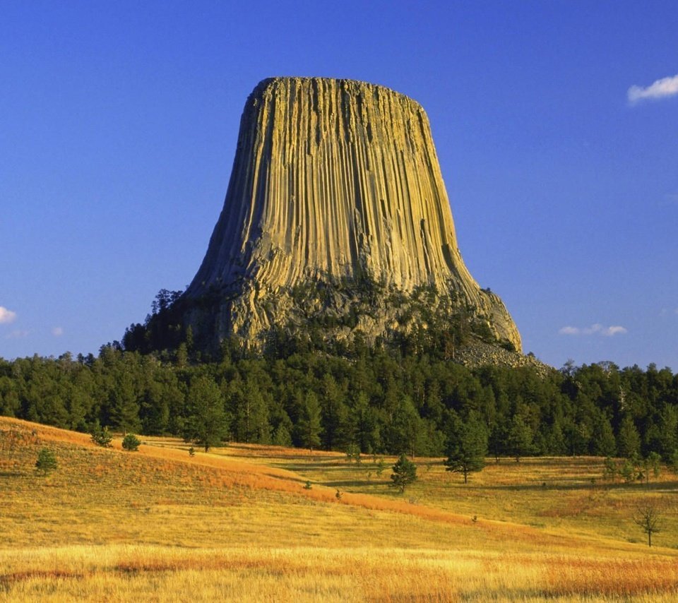 Обои деревья, осень, сша, плато, вайоминг, башня дьявола, trees, autumn, usa, plateau, wyoming, devil's tower разрешение 1920x1080 Загрузить