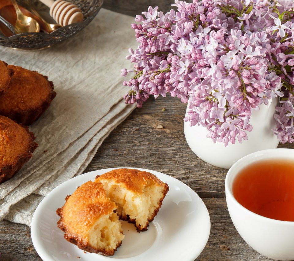 Обои дерево, фон, весна, чай, сирень, кекс, tree, background, spring, tea, lilac, cupcake разрешение 2112x1188 Загрузить