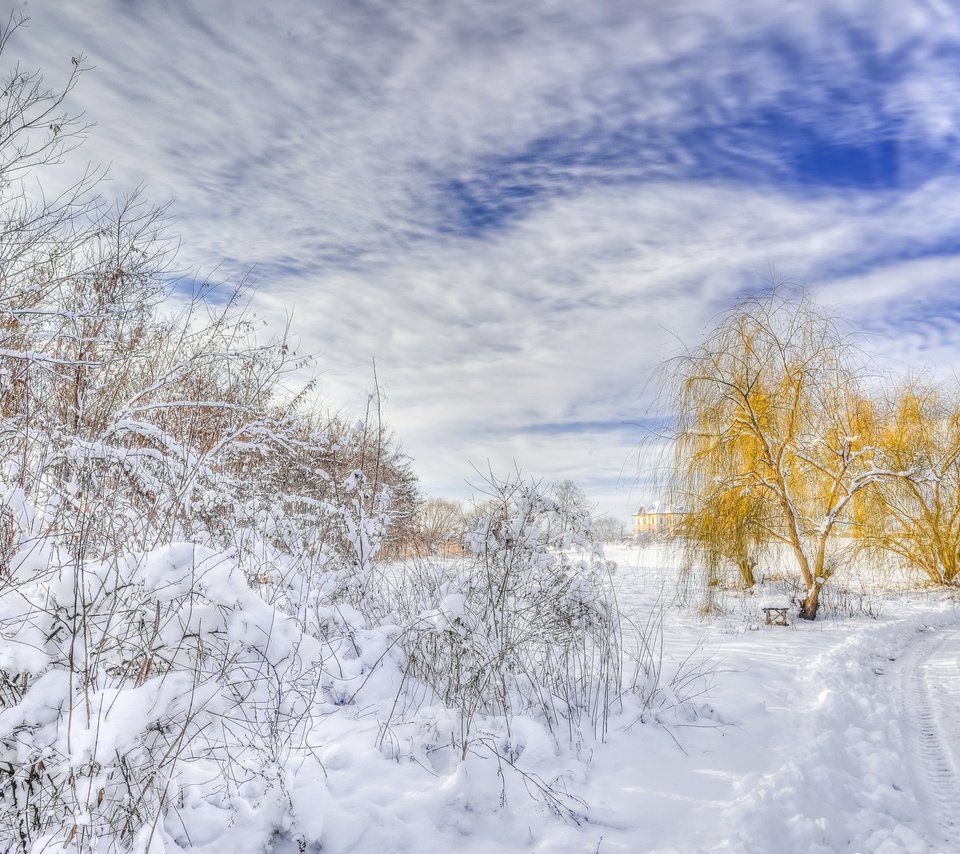 Обои дорога, деревья, снег, зима, пейзаж, road, trees, snow, winter, landscape разрешение 2560x1600 Загрузить