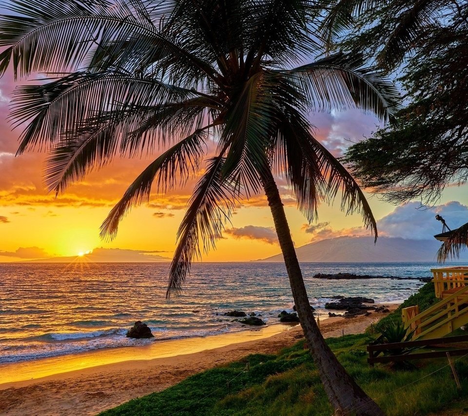 Обои небо, океан, облака, пальма, природа, отдых, закат, гавайи, пейзаж, море, горизонт, лето, the sky, the ocean, clouds, palma, nature, stay, sunset, hawaii, landscape, sea, horizon, summer разрешение 2048x1152 Загрузить