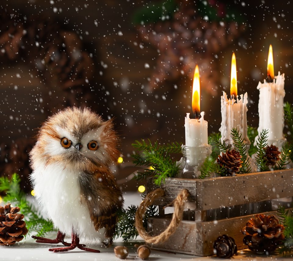 Обои сова, птица, снег, праздник, свечи, рождество, новый год, шишки, елка, ящик, хвоя, совенок, ветки, композиция, игрушка, owl, bird, snow, holiday, candles, christmas, new year, bumps, tree, box, needles, owlet, branches, composition, toy разрешение 4192x3356 Загрузить