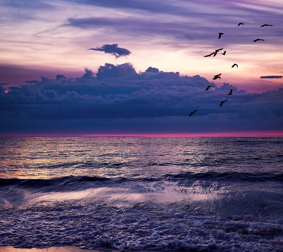 Обои небо, облака, волны, море, горизонт, птицы, the sky, clouds, wave, sea, horizon, birds разрешение 7680x4320 Загрузить