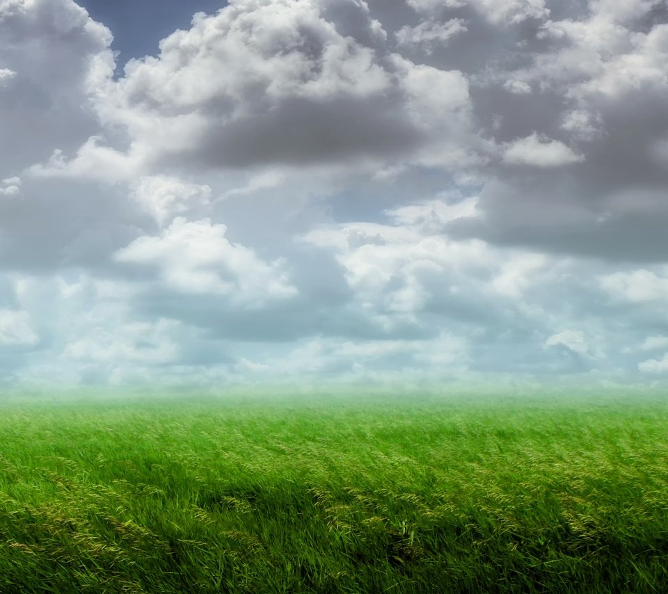 Обои облака, растения, пейзаж, поле, clouds, plants, landscape, field разрешение 3840x2160 Загрузить