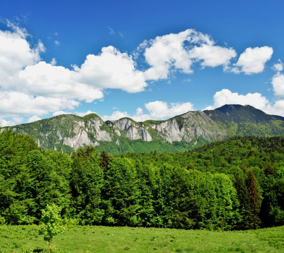 Обои небо, облака, горы, природа, лес, the sky, clouds, mountains, nature, forest разрешение 6000x3376 Загрузить