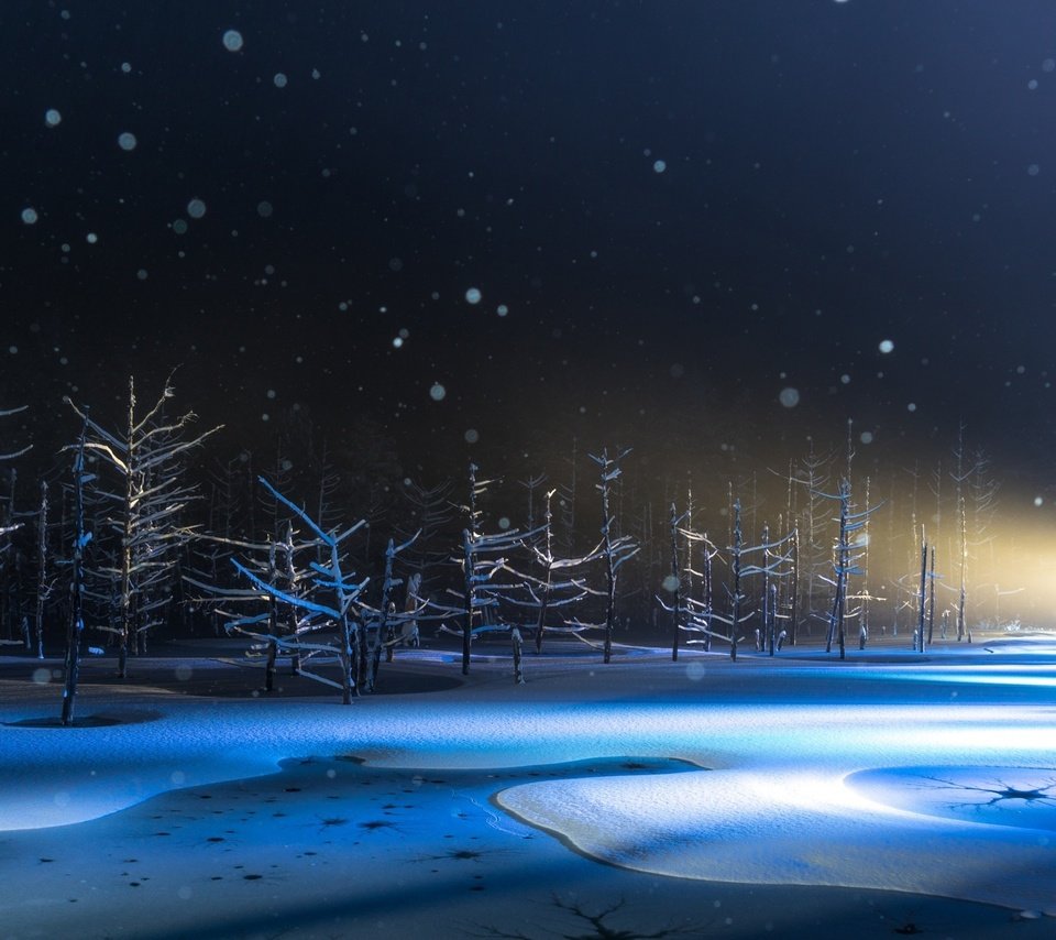 Обои свет, деревья, снег, природа, япония, light, trees, snow, nature, japan разрешение 2040x1300 Загрузить