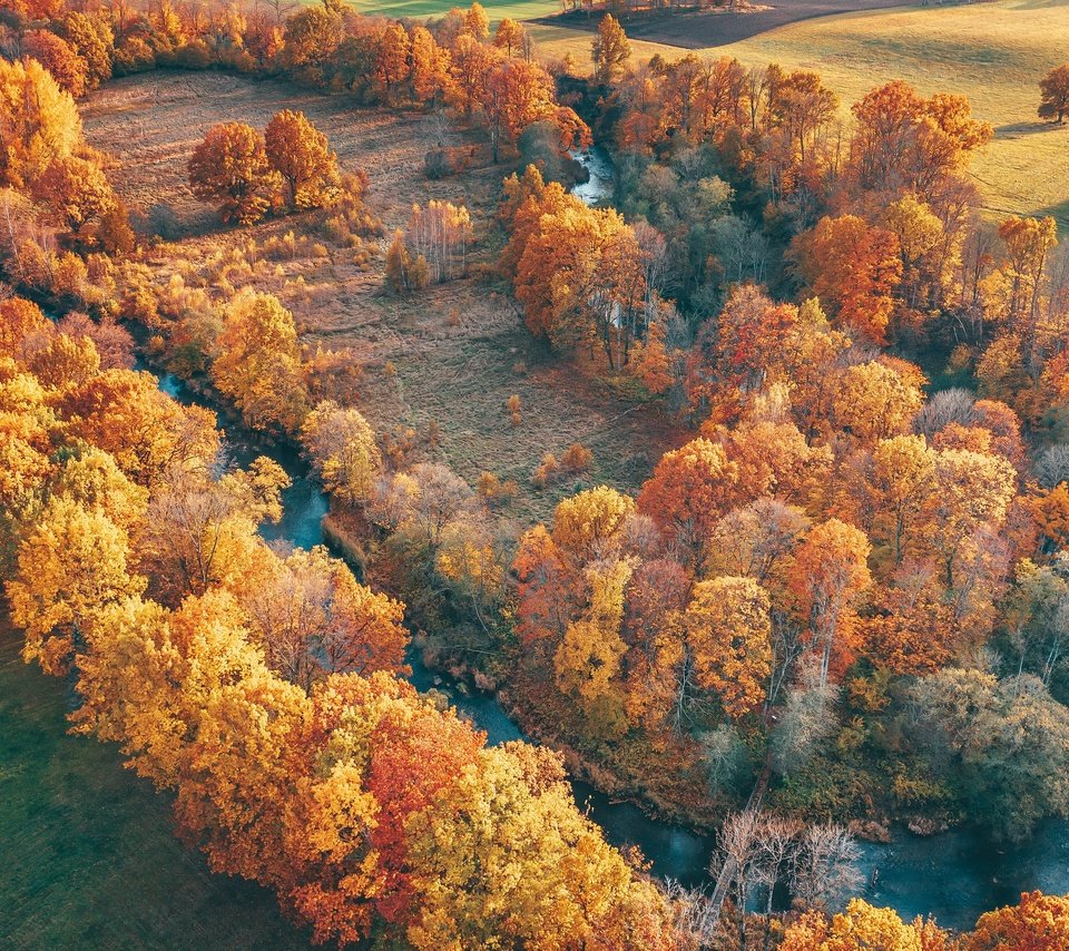 Обои деревья, река, природа, пейзаж, вид сверху, осень, trees, river, nature, landscape, the view from the top, autumn разрешение 3840x2160 Загрузить