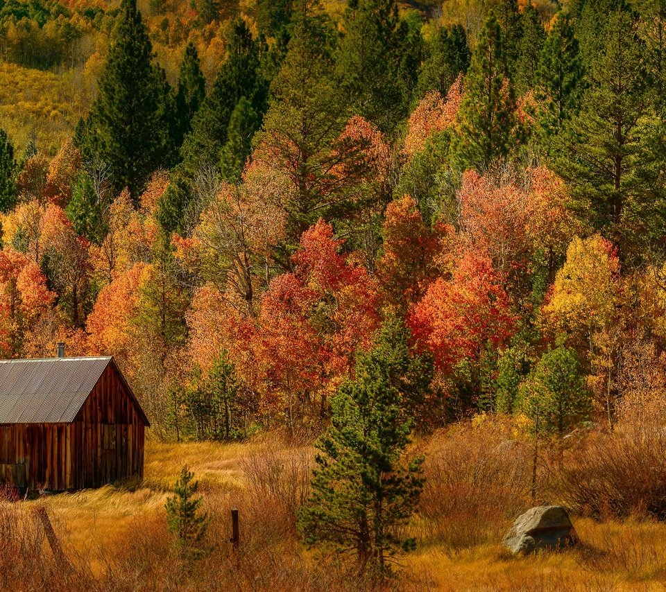 Обои деревья, лес, осень, домик, trees, forest, autumn, house разрешение 6144x2048 Загрузить