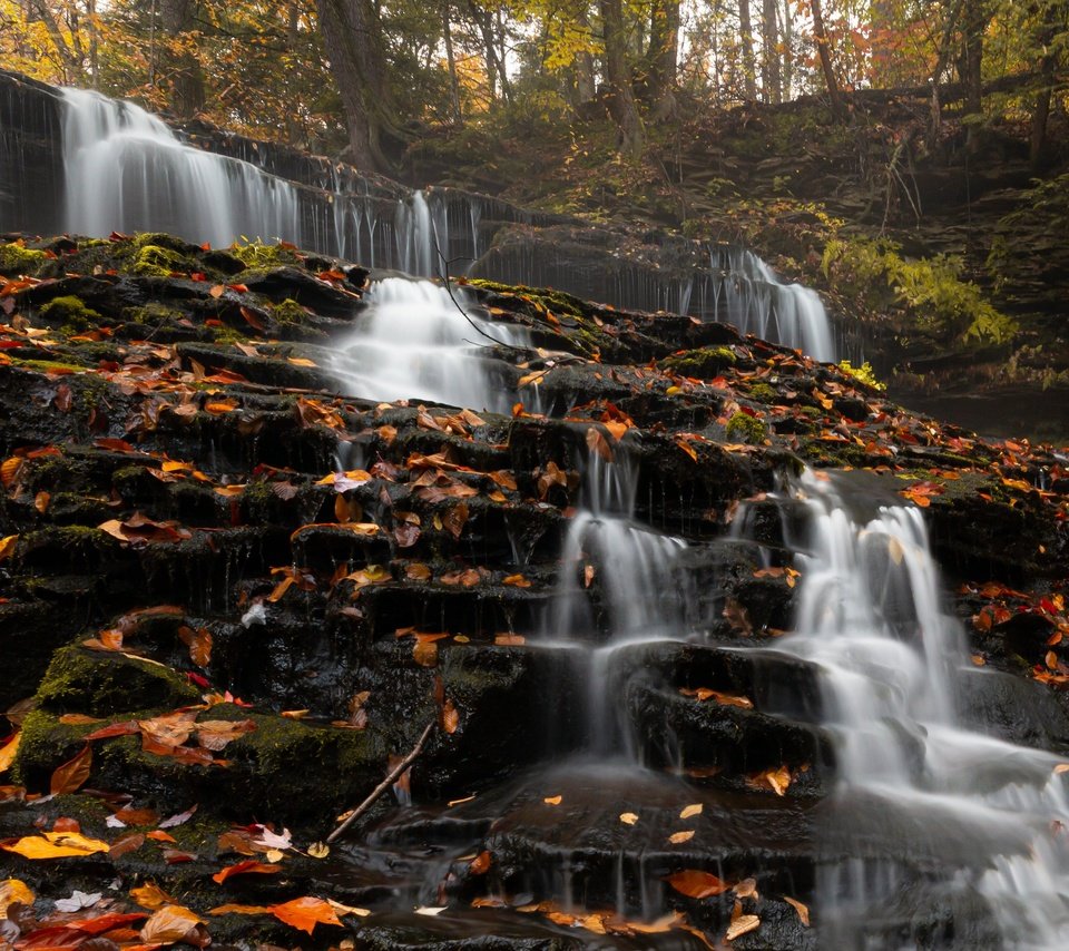 Обои деревья, природа, камни, лес, листья, водопад, сша, trees, nature, stones, forest, leaves, waterfall, usa разрешение 3715x2477 Загрузить