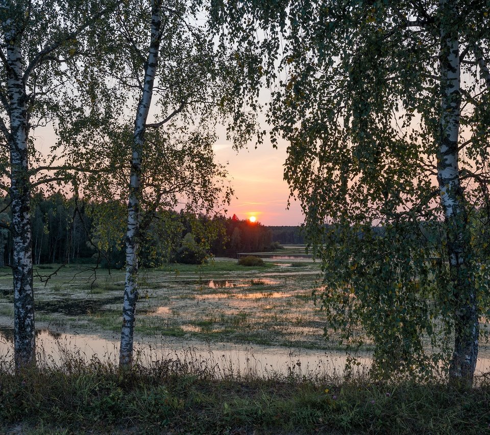 Обои деревья, река, природа, закат, пейзаж, леса, trees, river, nature, sunset, landscape, forest разрешение 2278x1520 Загрузить