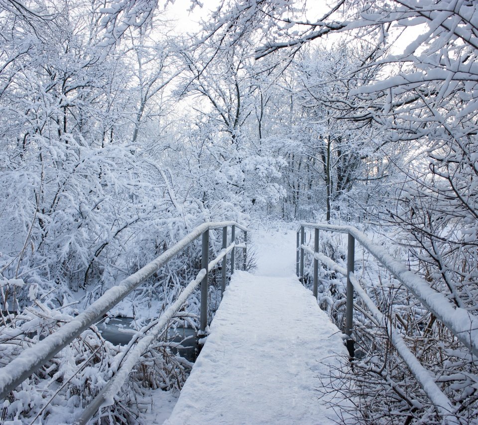 Обои деревья, снег, природа, зима, пейзаж, мост, trees, snow, nature, winter, landscape, bridge разрешение 4272x2848 Загрузить