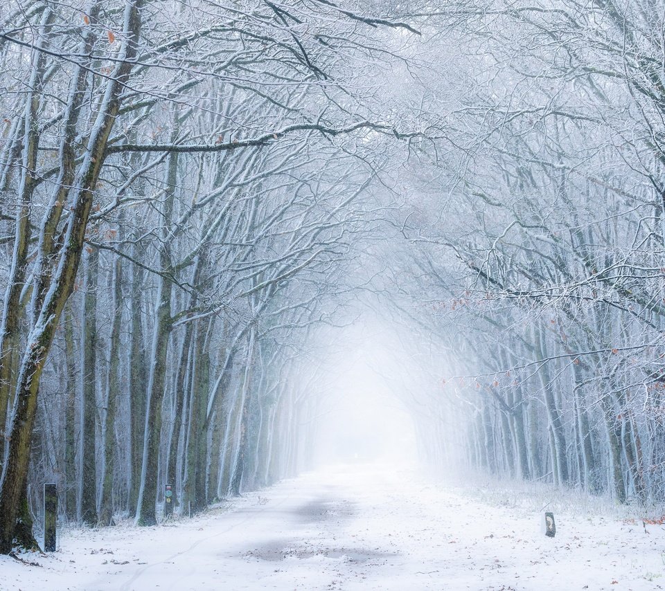 Обои дорога, лес, зима, туман, road, forest, winter, fog разрешение 3840x2160 Загрузить