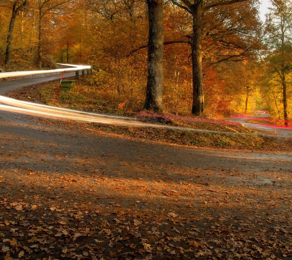 Обои дорога, огни, осень, road, lights, autumn разрешение 3840x2160 Загрузить