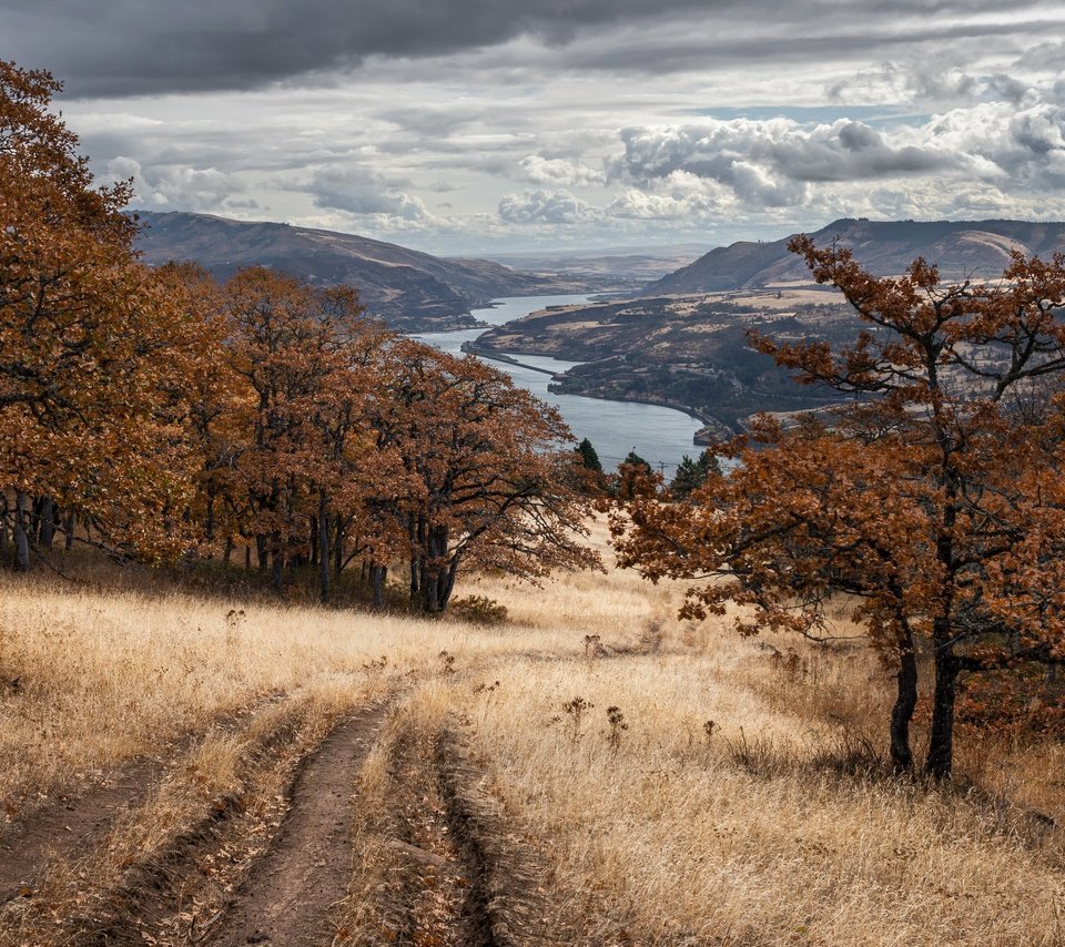 Обои дорога, природа, осень, road, nature, autumn разрешение 3840x2160 Загрузить