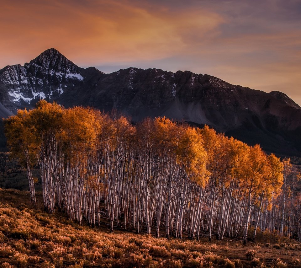 Обои горы, березы, осень, mountains, birch, autumn разрешение 3840x2160 Загрузить