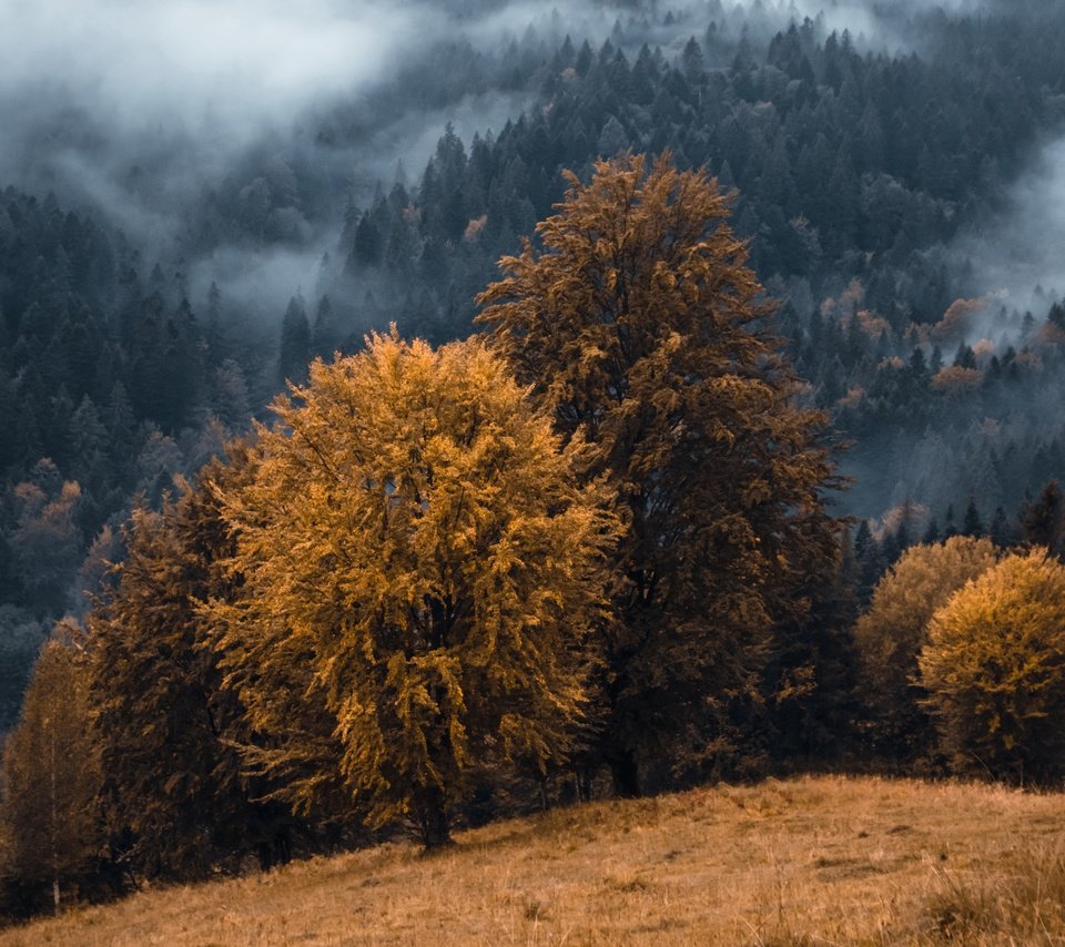 Обои горы, туман, осень, mountains, fog, autumn разрешение 3840x2160 Загрузить