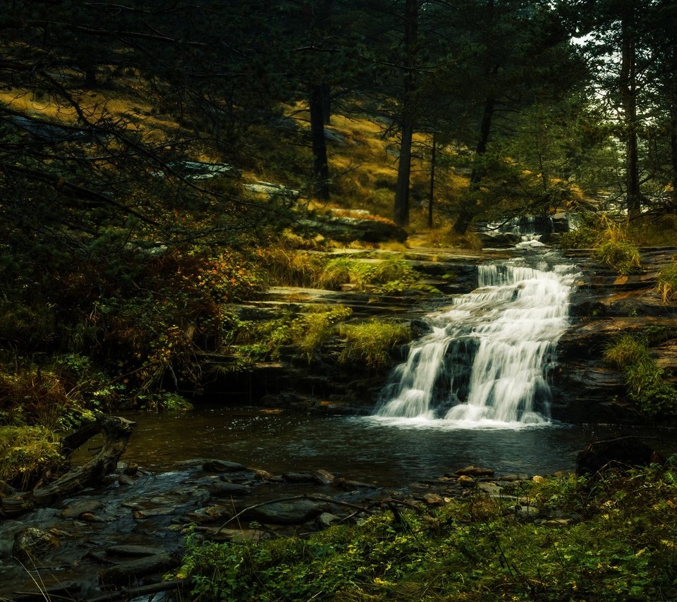 Обои камни, лес, ветки, водопад, полумрак, stones, forest, branches, waterfall, twilight разрешение 3840x2160 Загрузить