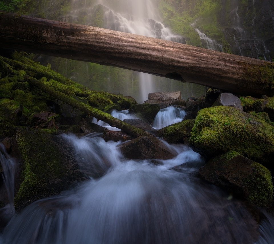 Обои камни, валуны, зелень, водопад, поток, мох, бревно, водопады, каскад, stones, boulders, greens, waterfall, stream, moss, log, waterfalls, cascade разрешение 2048x1391 Загрузить