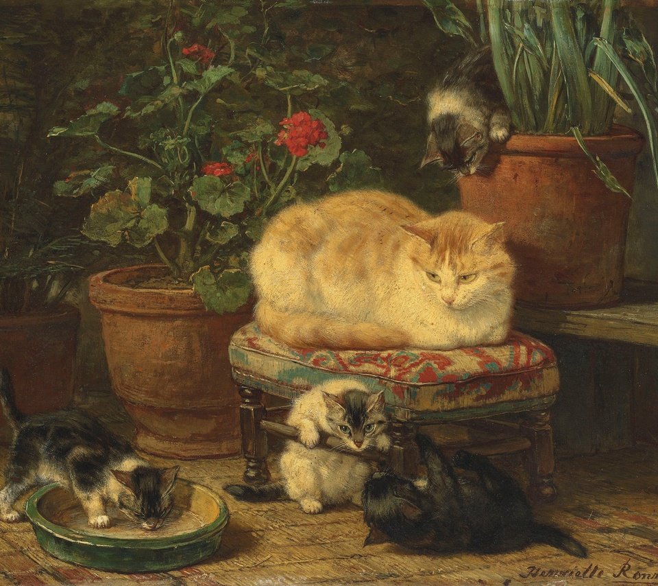 Обои кошка, масло, котята, cat, oil, kittens разрешение 3200x2342 Загрузить