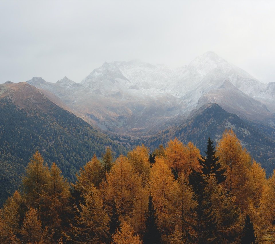 Обои небо, пасмурно, деревья, горы, скалы, природа, лес, осень, дымка, the sky, overcast, trees, mountains, rocks, nature, forest, autumn, haze разрешение 5496x3670 Загрузить